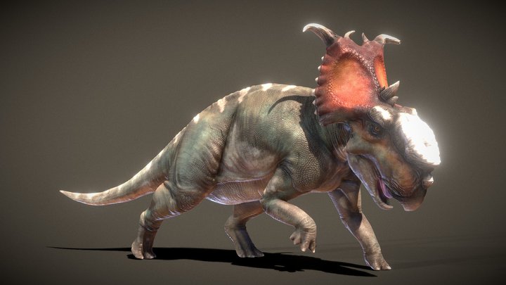Pachyrhinosaurus lakustai (For print) 3D Model