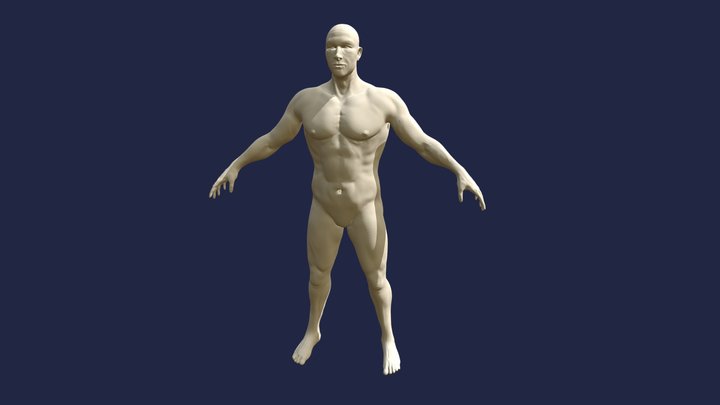 Chris Hemsworth (Critiqued & Edited) 3D Model
