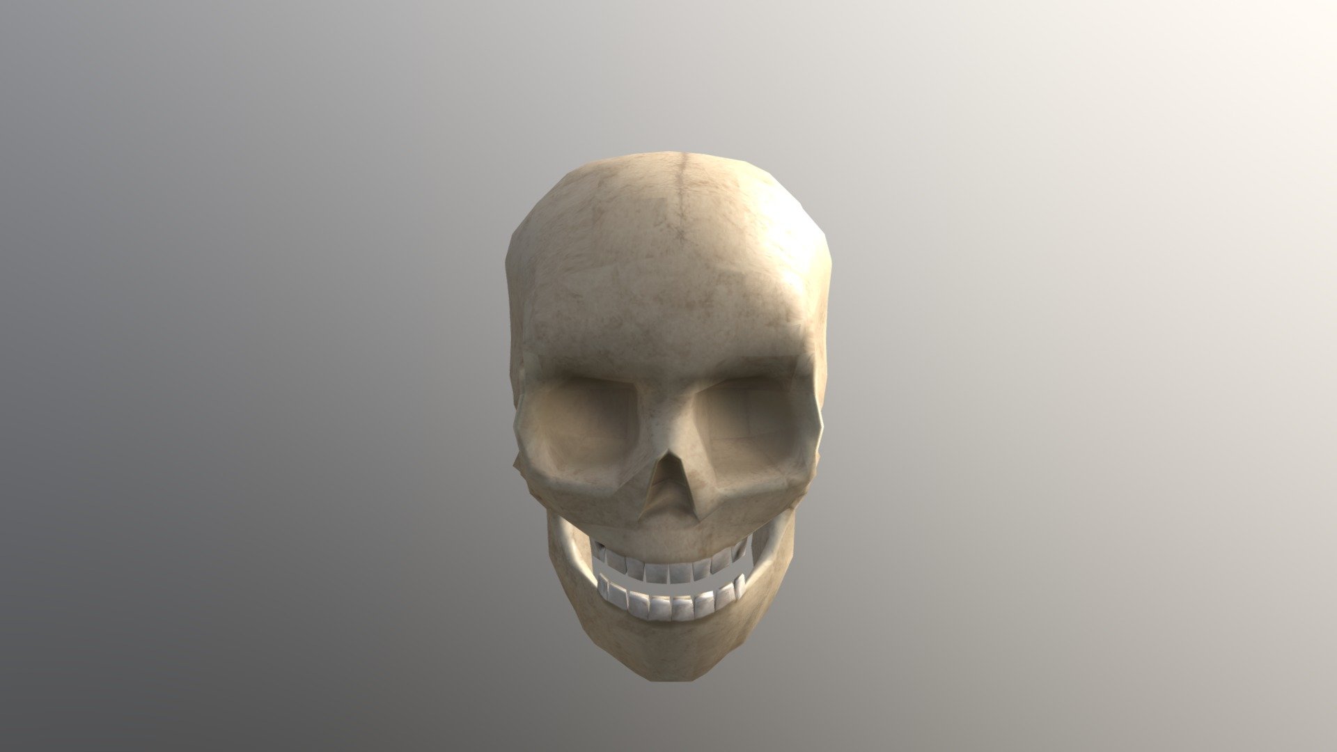 Skull - 3D model by henkizz [dba2f68] - Sketchfab