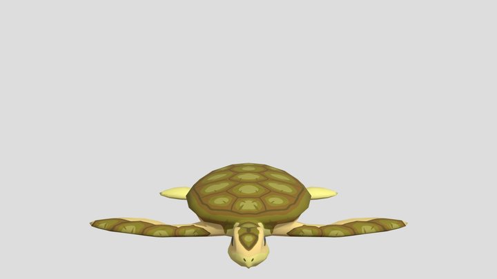 Toon Turtle 3D Model