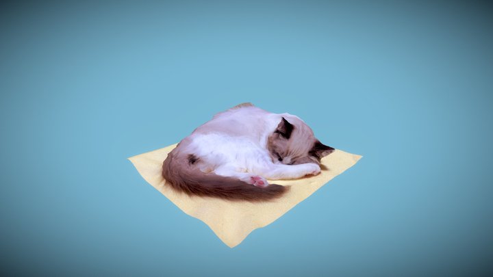 ねこさん 3D Model