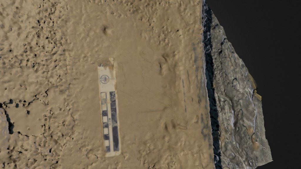 Lungfish Trackway - L20130327 Run2