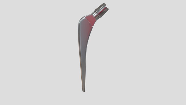 TALLO PAMPA 3D Model