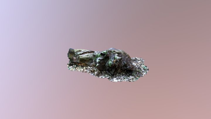 Stump 5k 3D Model