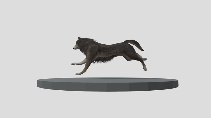 Animated Wolf 3D Model