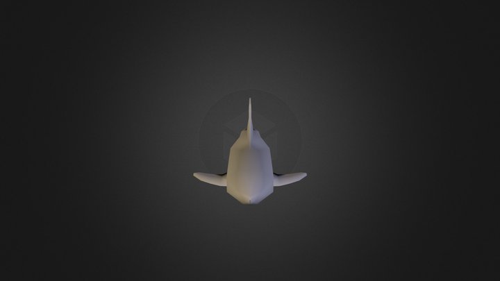 Shark C4D Trial 3D Model