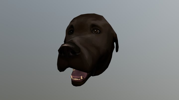 Scrappy 3D Model