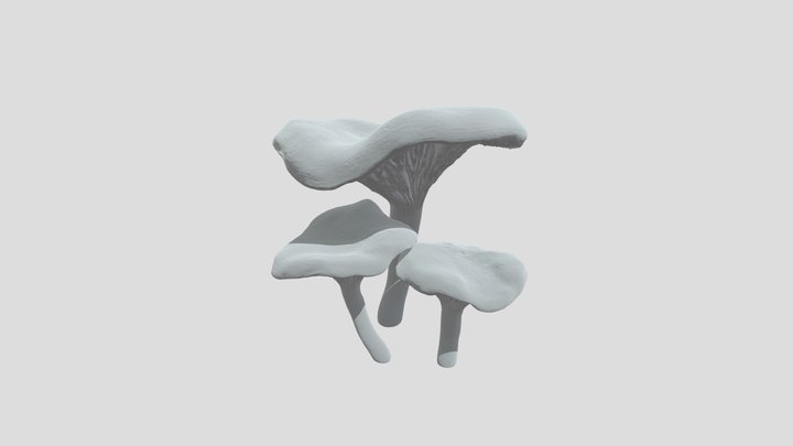 Chanterelle Trio 3D Model