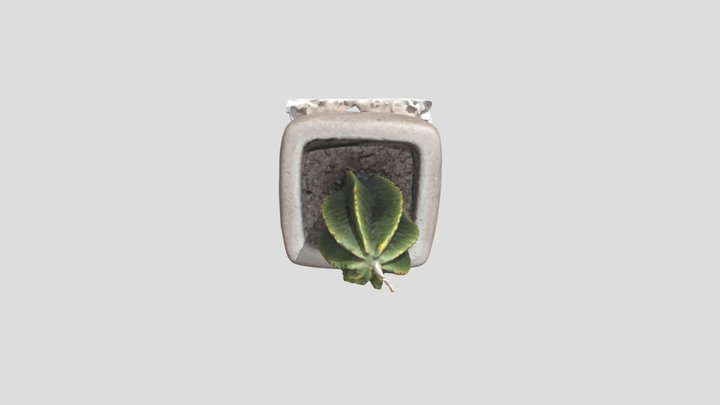 Cactus Candle 3D Model