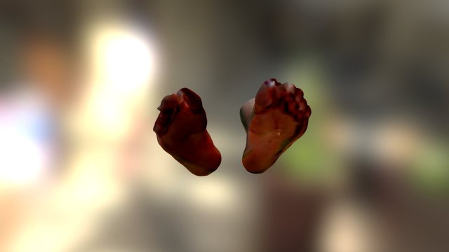 Troy's feet 3D Model