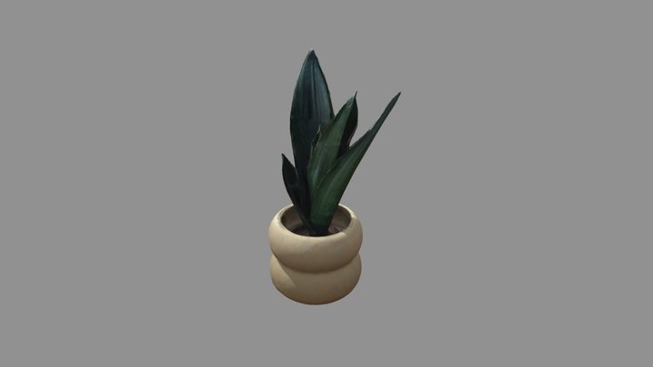 Cute plant pot with green tall plant 3D Model