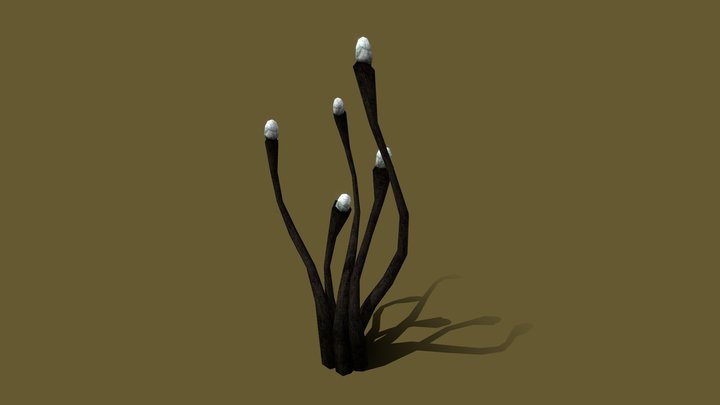 White Bulbshroom - Othreleth Woods (Morrowind) 3D Model