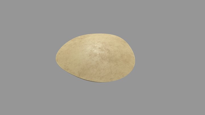 nope ufo 3D Model