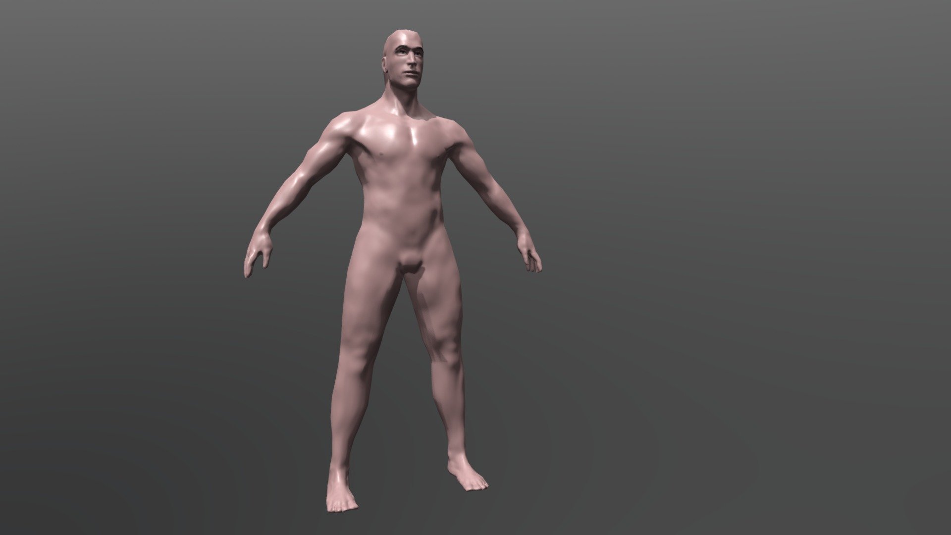 Human Male - Simple Model