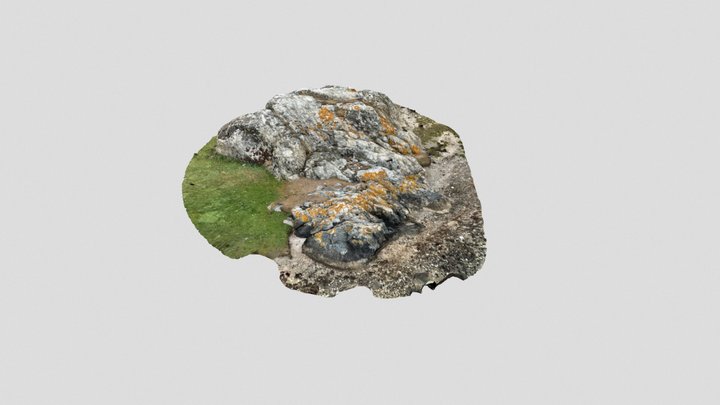 Big nordic beach rock 3D Model
