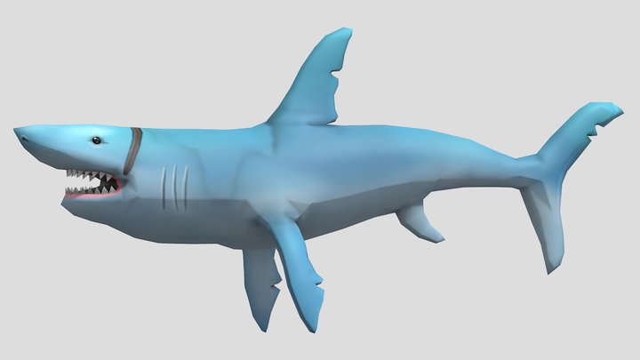 Shark