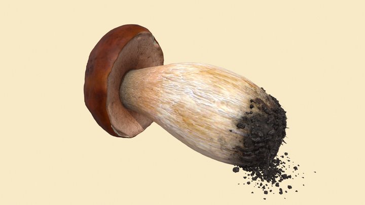 Mushroom free