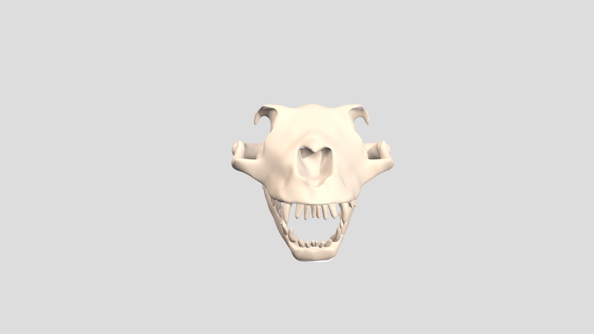 Hight Lion Skull