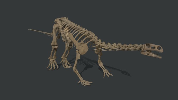 Plateosaurus old pose 3D Model