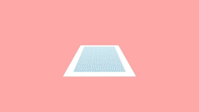 Rug 3D Model