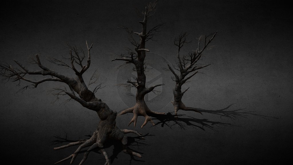 Trees