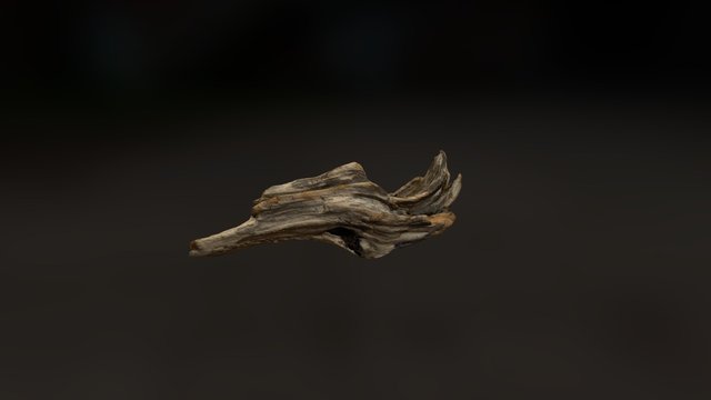First Photogrammetry Model - Wooden Snag 3D Model