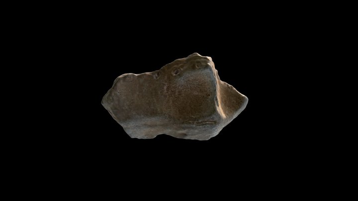 Mandibula Cabo Tiñoso 3D Model