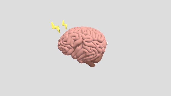brain 3D Model