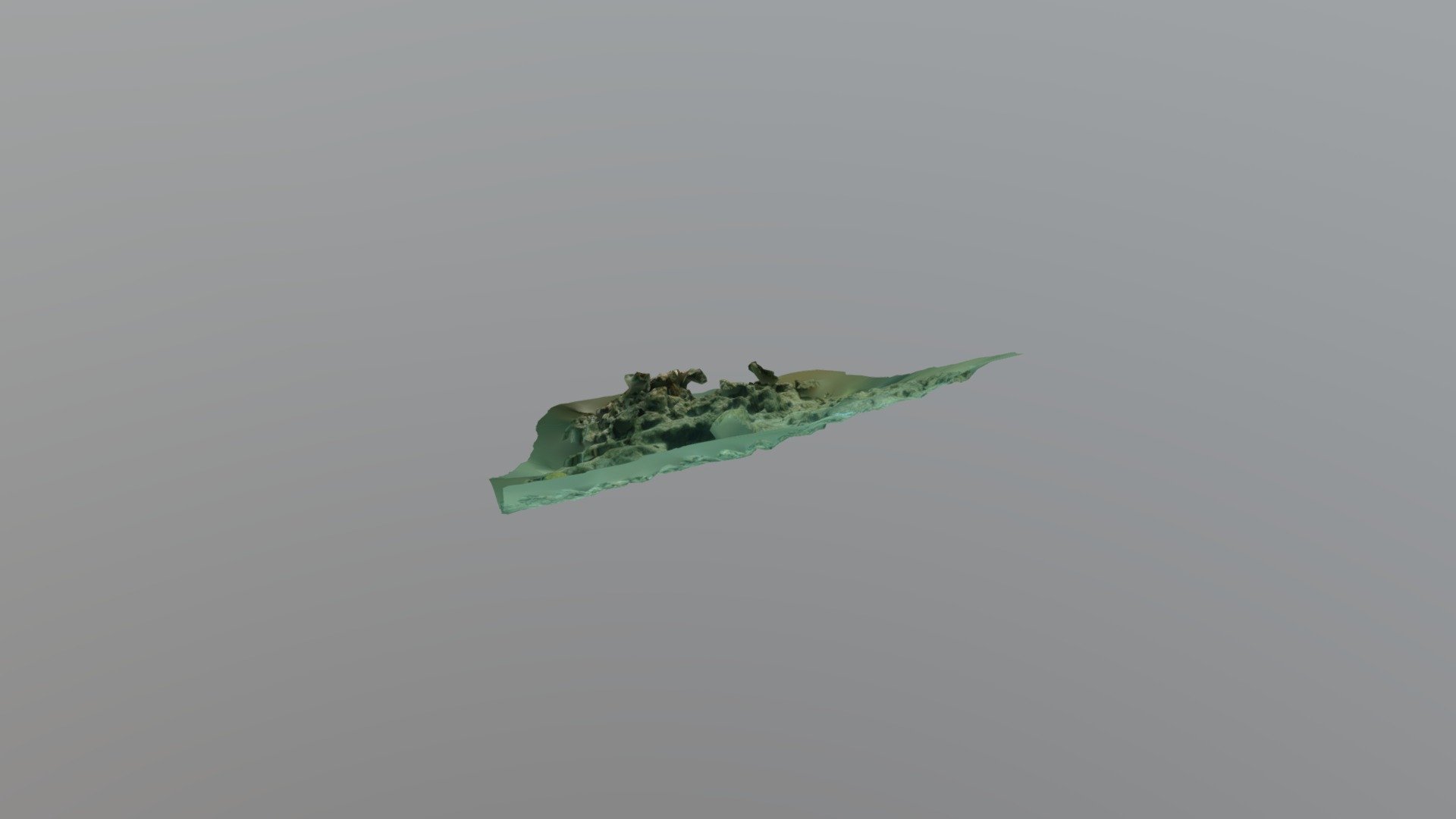JVDPSGreatHarbourFoxy020718Quadrat1Model
