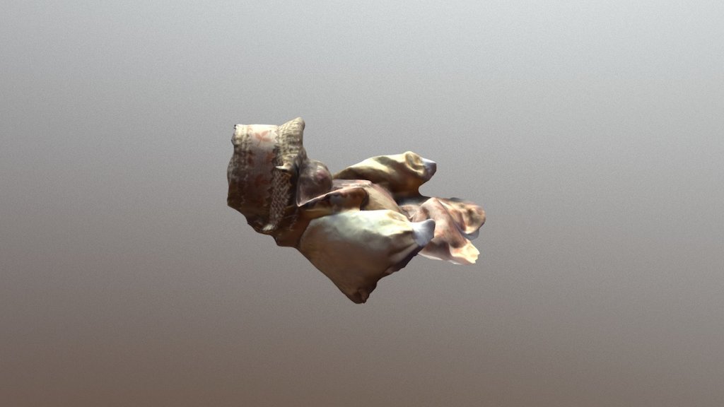 Model4