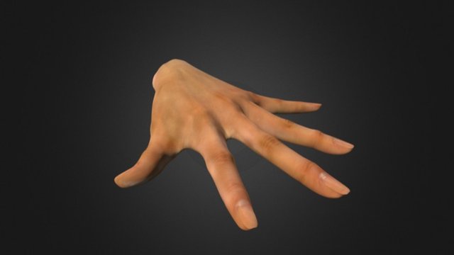 Realistic Hand 3D Model