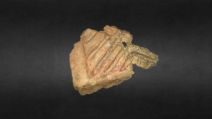 Fragmento de adobe (El Morredón, Fréscano) 3D Model