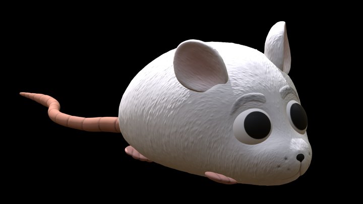 RAT 3D Model
