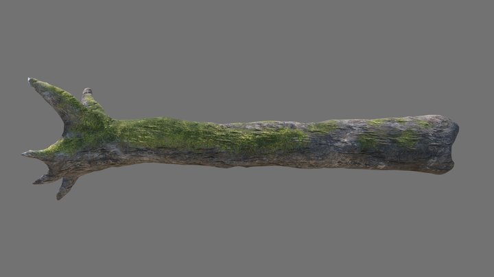 Tree Log A 3D Model