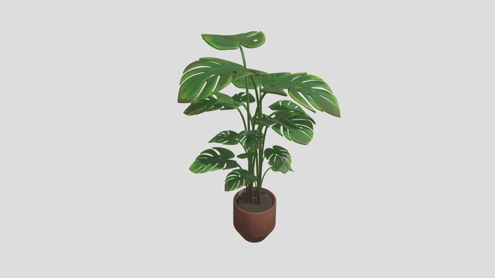 Plante 3D Model