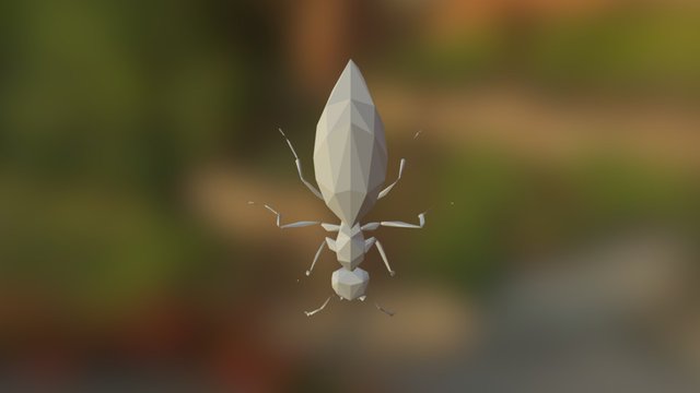 Ant Queen 3D Model