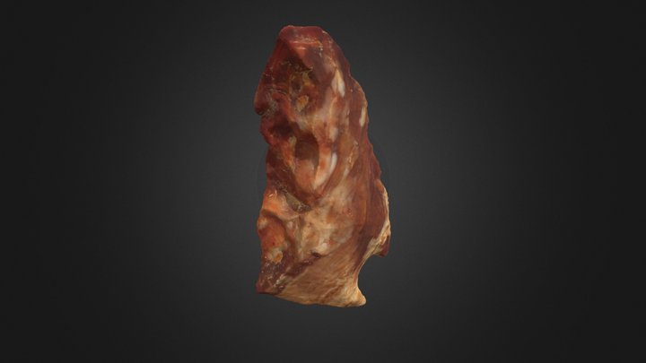 Delhi Lithic Point 3D Model