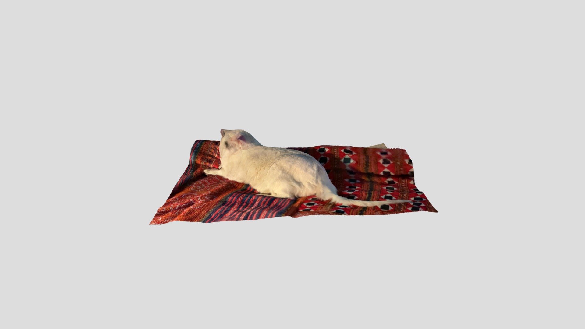 Gypsy On Bed