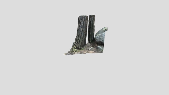 Realistic Tree trunk 3D Model