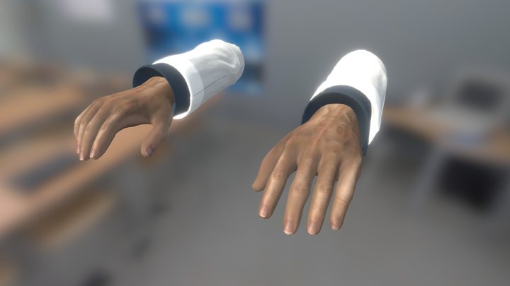 Scientist Hands for Black Mesa 3D Model