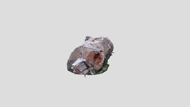 Squat tree trunk – Modèle 3D gratuit STL
