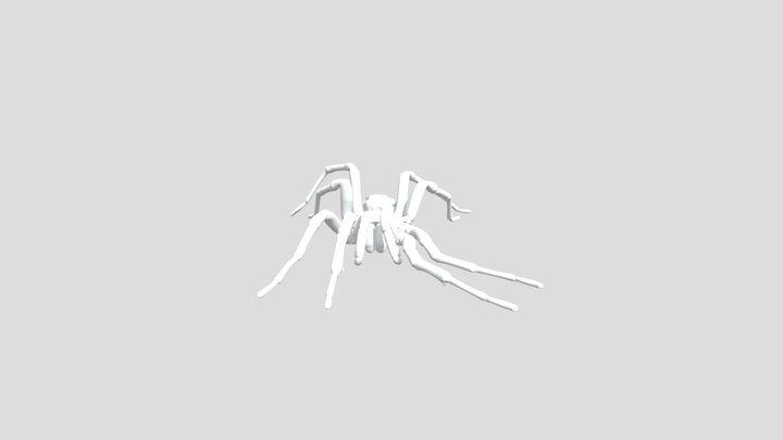 Tarantulas 3D models - Sketchfab