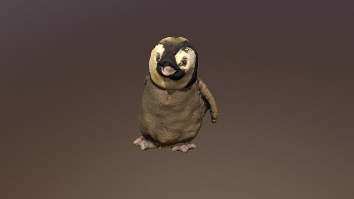 Pinguini 3D Model