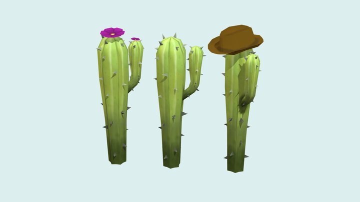 Cactuses 3D Model
