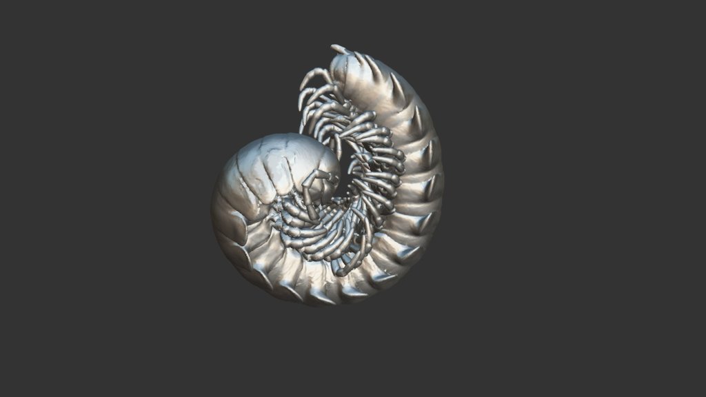 Milipede19p3 S4