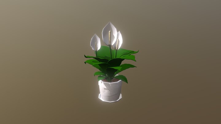 Peace Lily 3D Model