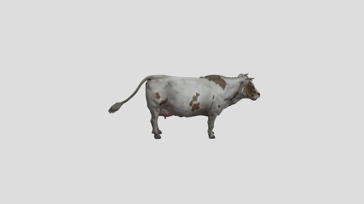 Cow 3D Model