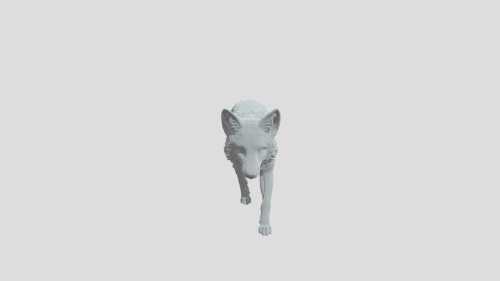 volpe-fox 3D Model