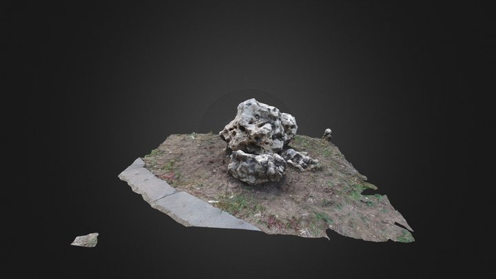 Photoscan rock 1 3D Model
