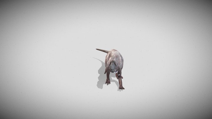 Animation Monster 3D Model